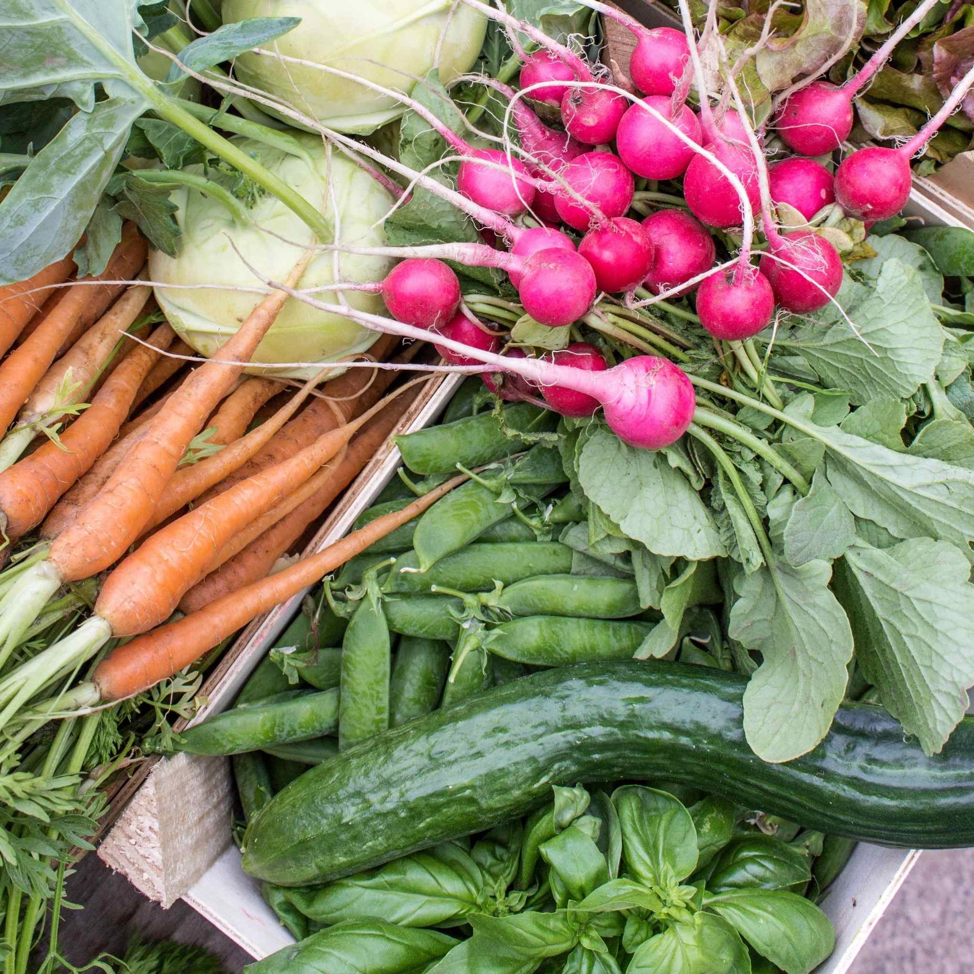 Spring vegetables on the grill - tips, seasonal ingredients and a portable grill for outdoor dining