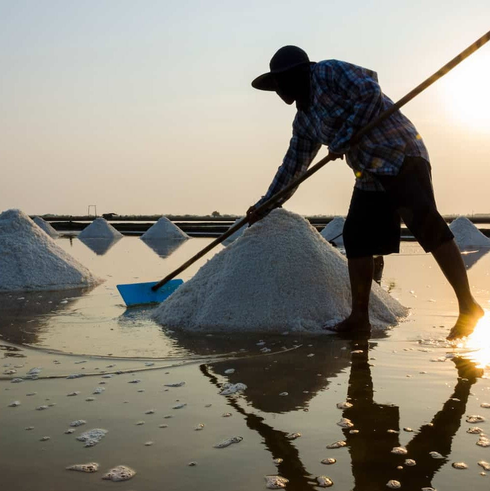 Sea Salt – From Ocean to Table