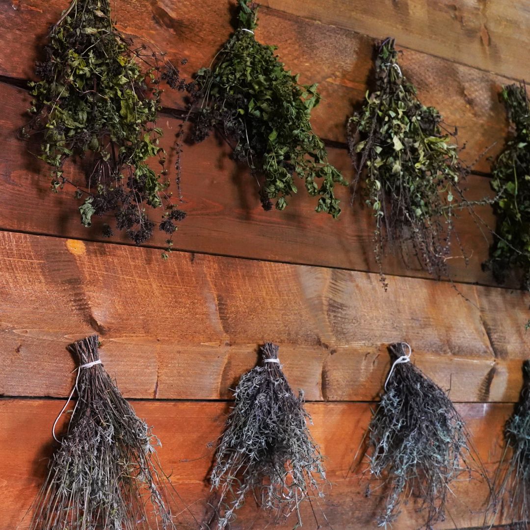 Drying Herbs – How to Preserve the Taste of Summer