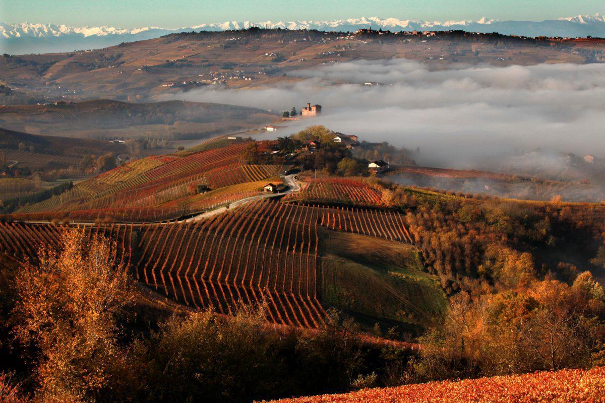Barolo - the king of wines! - Corkframes.com