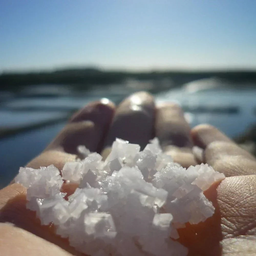 Fleur de Sel – The Crown Jewel of Salt