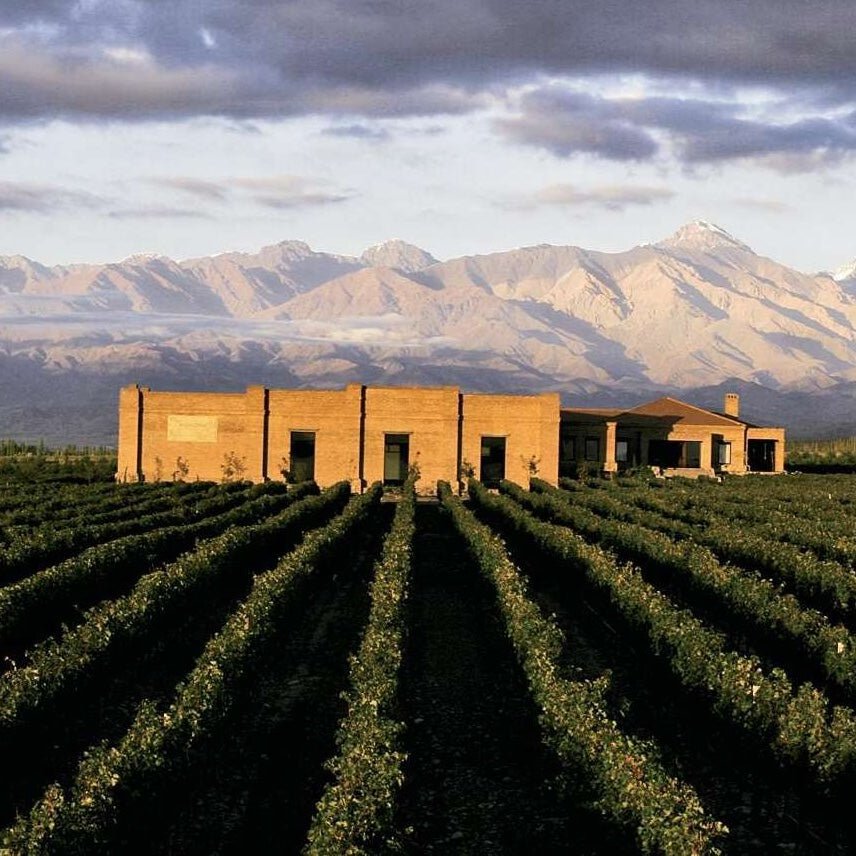 Mendoza: Argentina's Most Famous Wine District - Corkframes.com