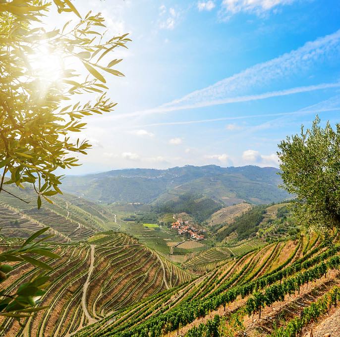Portugal's Famous Wine Regions - Corkframes.com