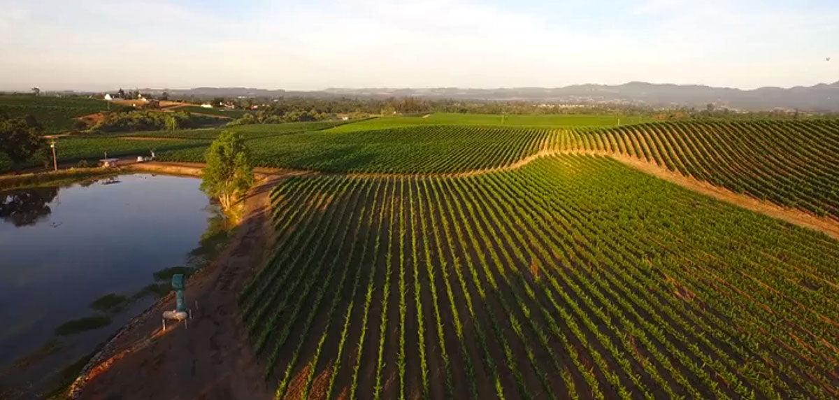 What is the most popular wine brands in USA? - Corkframes.com