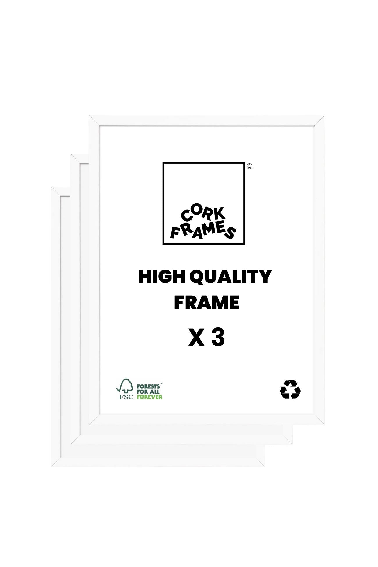 Art Frame - White Wood Frame (Set of 3)
