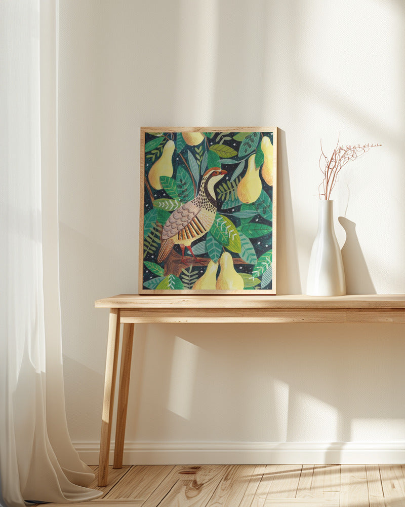 Partridge in a pear tree Poster