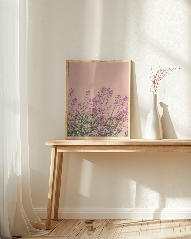 Summer Flowers Poster