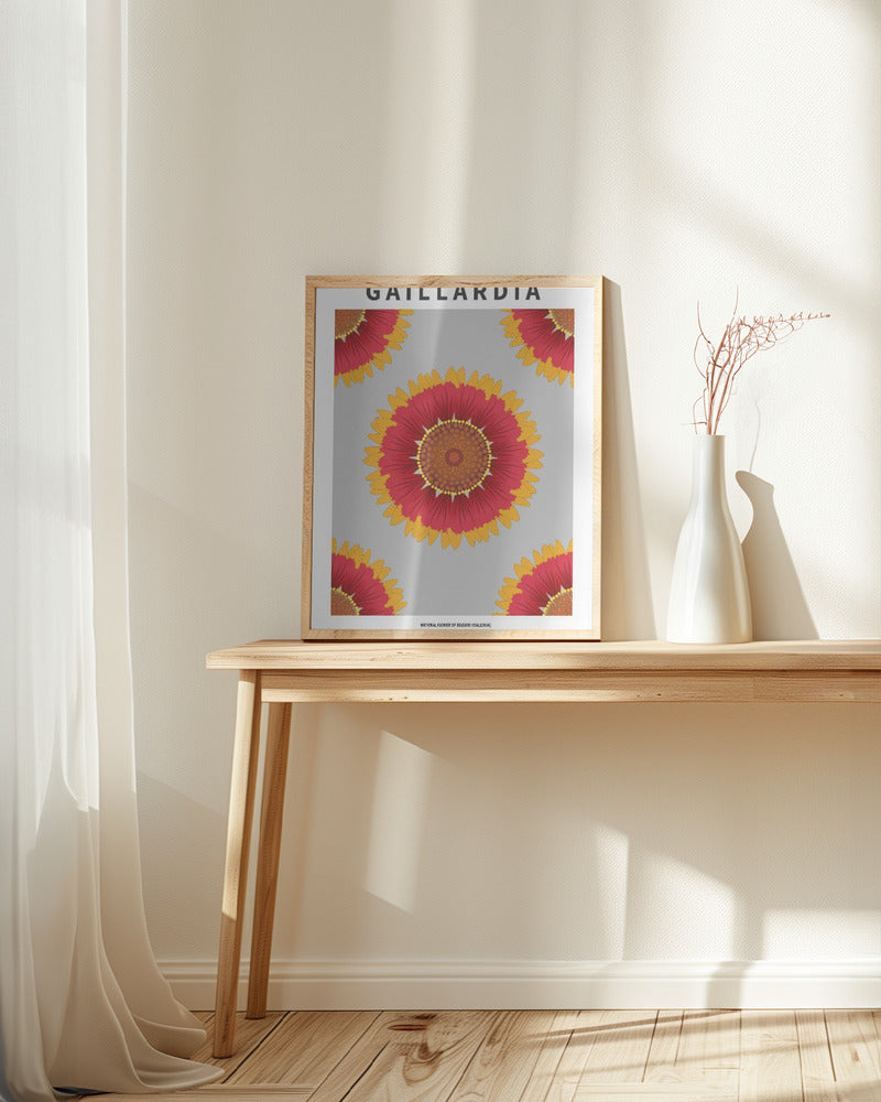 Gaillardia - National flower of Belgium Poster