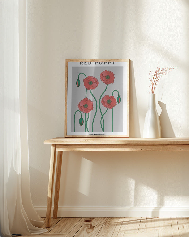Red Poppy - National flower of Belgium Poster
