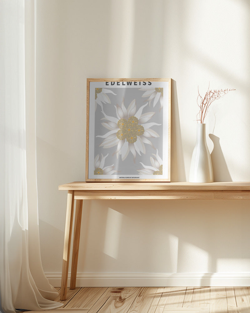 Edelweiss - National flower of Switzerland Poster