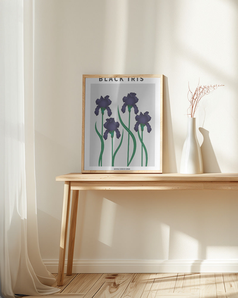 Black Iris - National flower of Jordan Poster