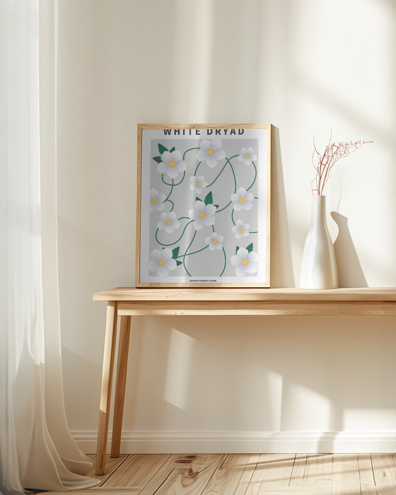 White dryad - National flower of Iceland Poster