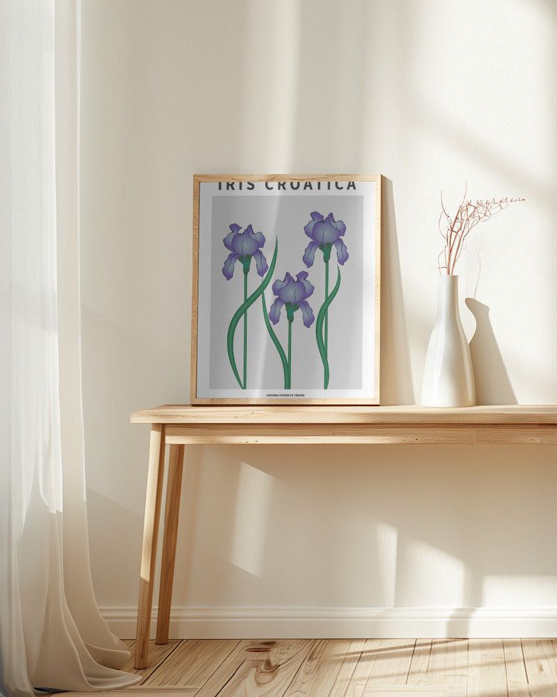 Iris Croatica - National flower of Croatia Poster
