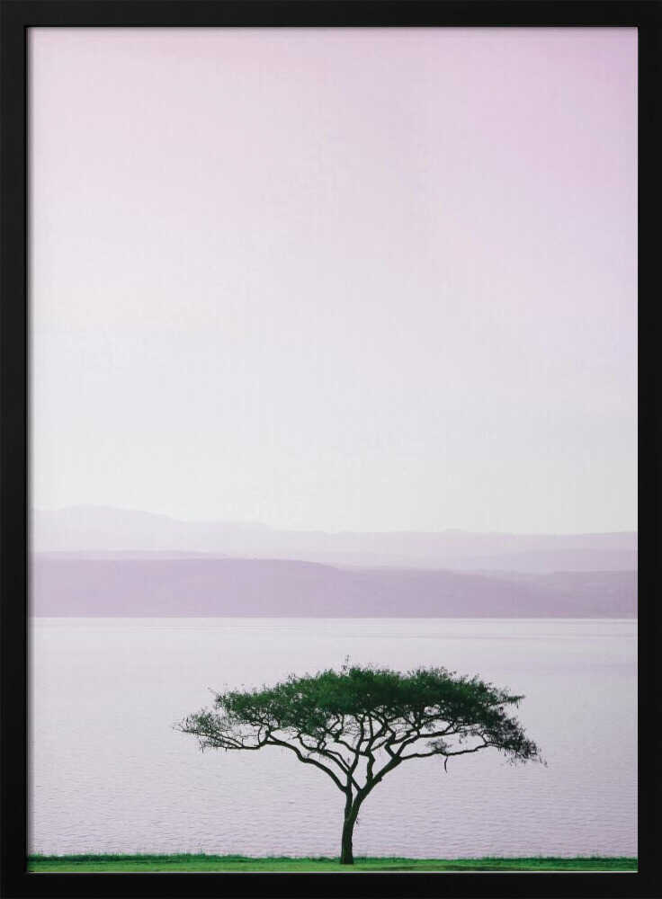 Tree By A Tranquil Lake Poster