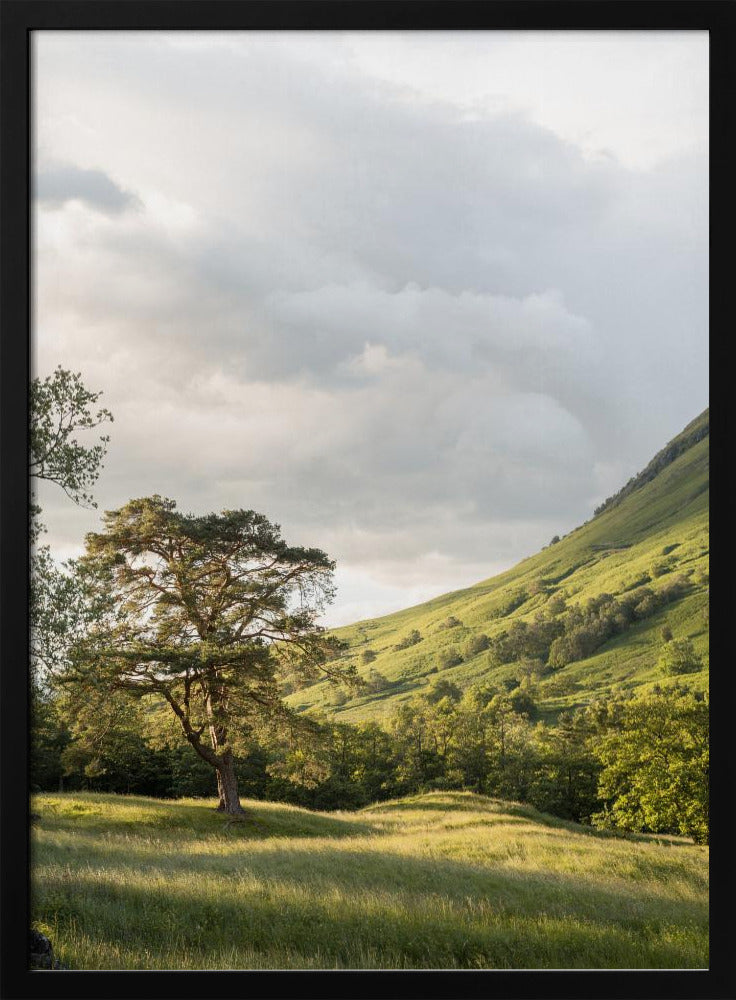 Into the Highlands Poster