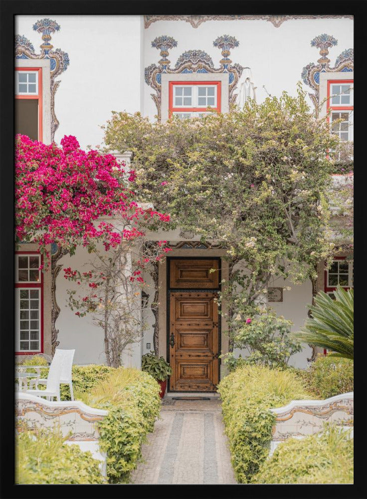 Graceful Entry Poster