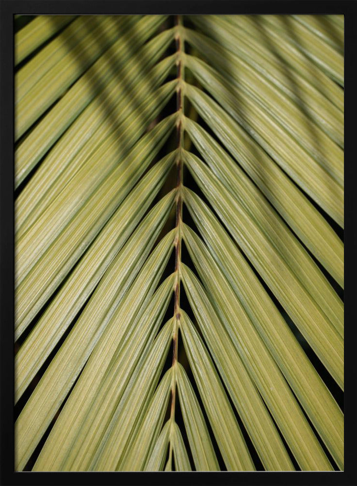 Tropical Leaf Poster