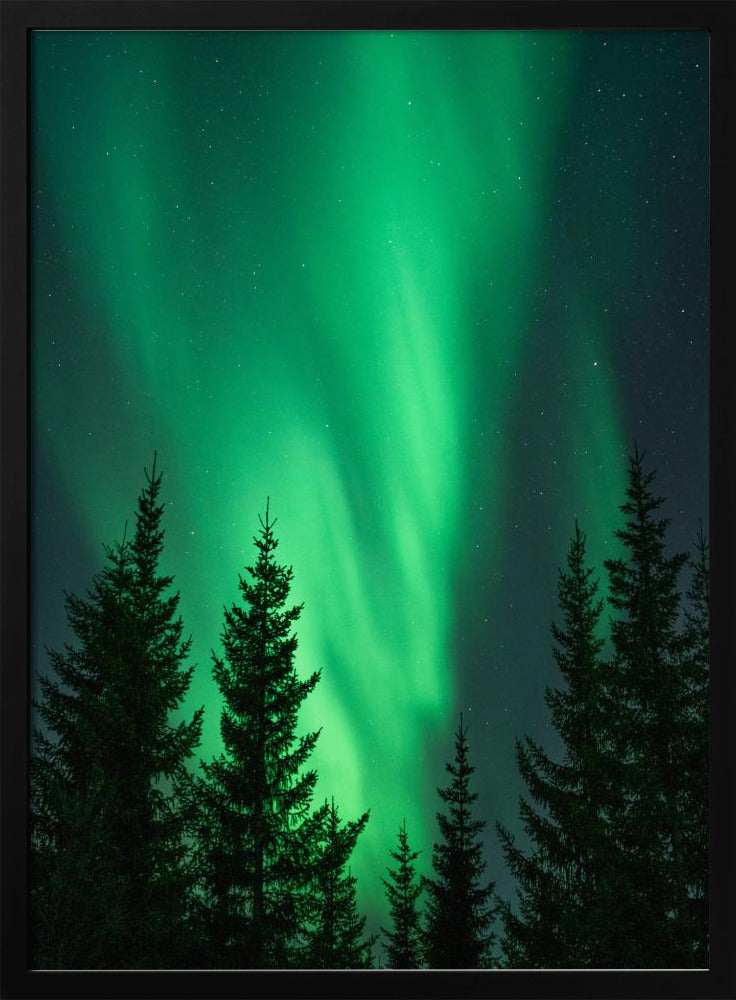 Northern Lights in the Woods Poster