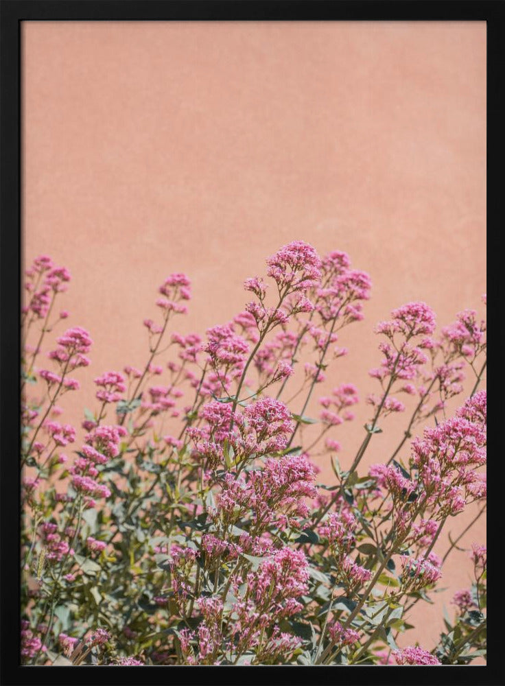 Summer Flowers Poster