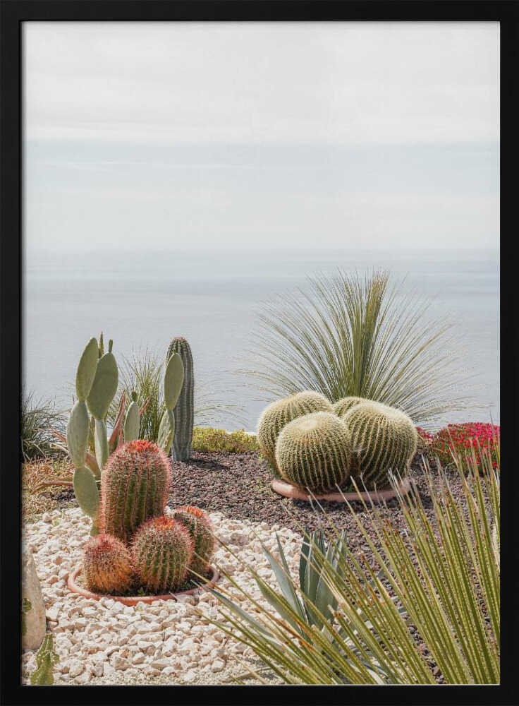 Botanical Garden Poster