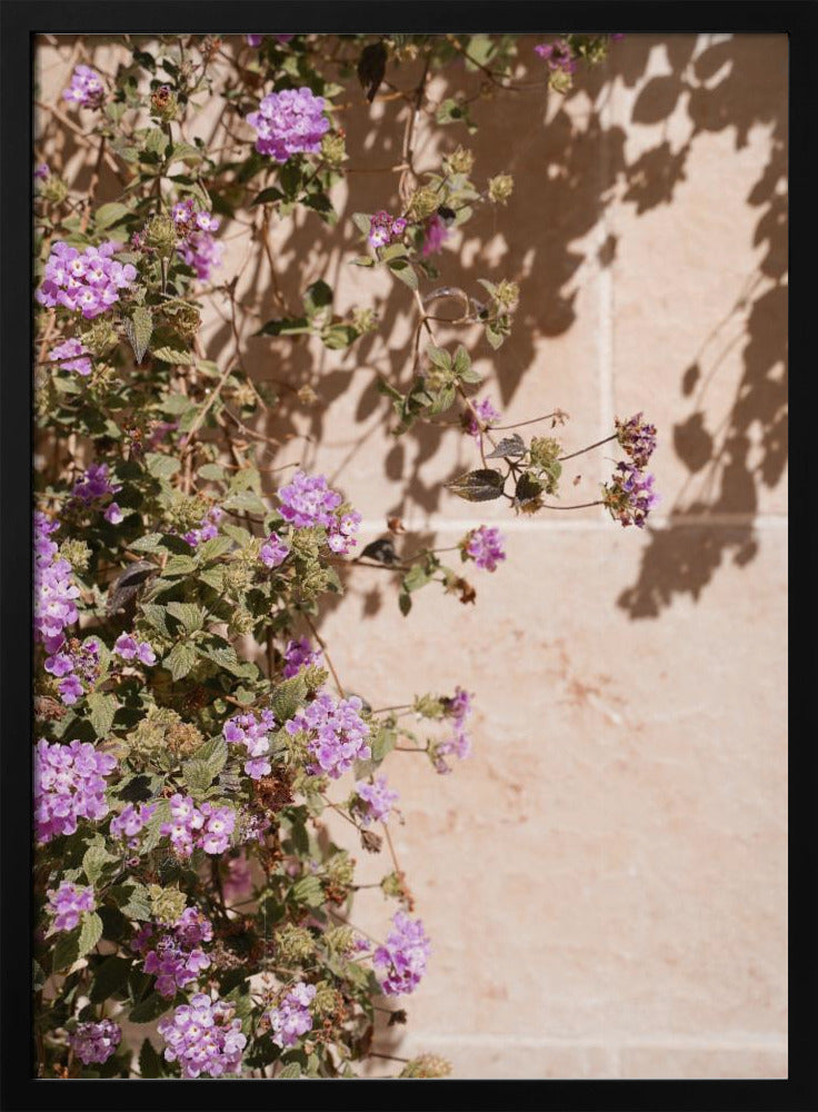 Lilac Summer Poster