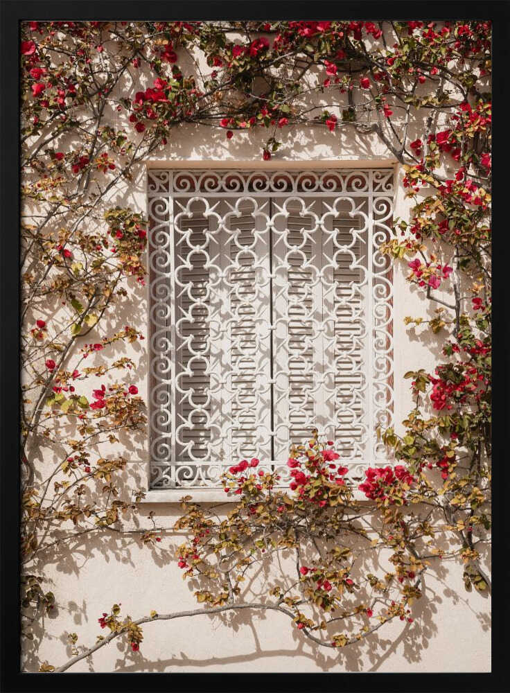 The Red Frame Poster