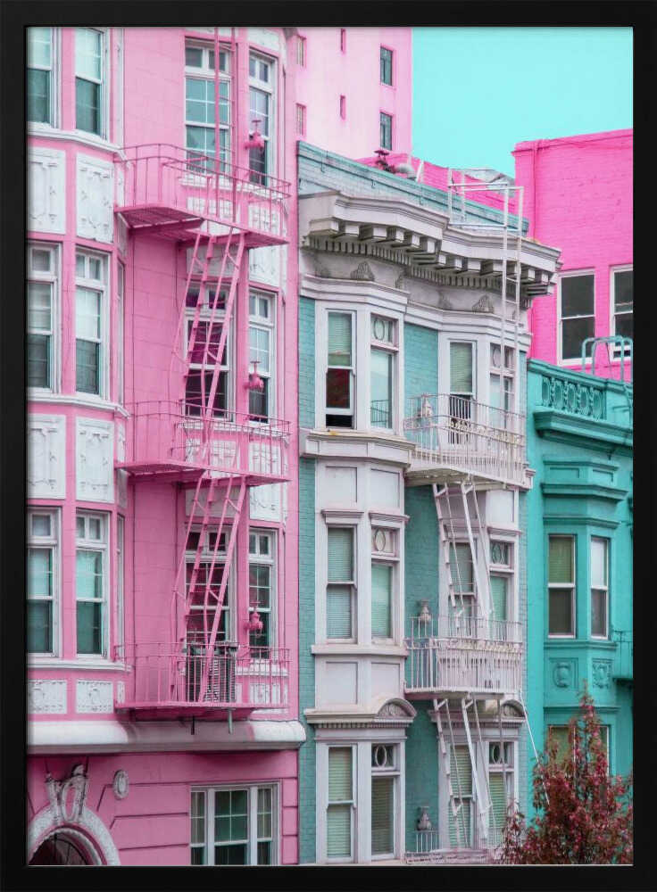 Pink and Blue Row Houses in San Francisco Poster