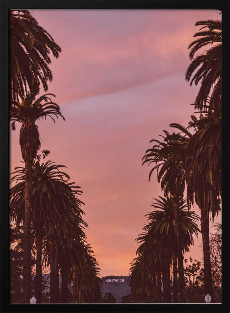 Hollywood Poster