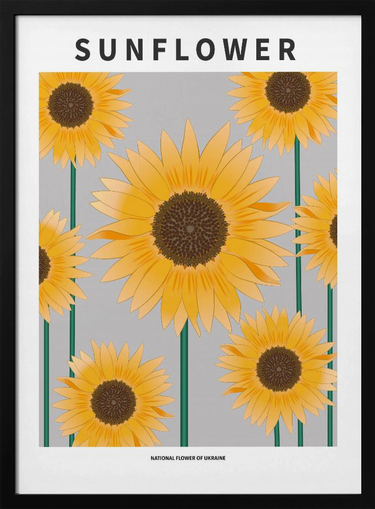 Sunflower - National flower och Ukraine Poster