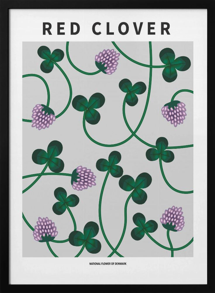 Red Clover - National flower of Denmark Poster