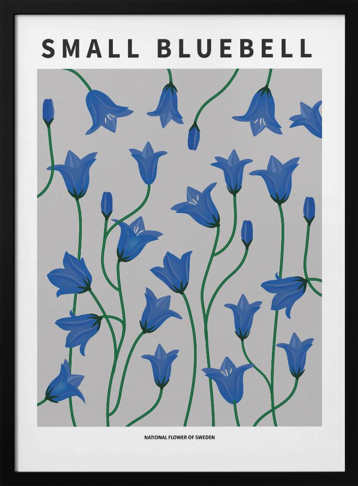Small Bluebell - National flower of Sweden Poster
