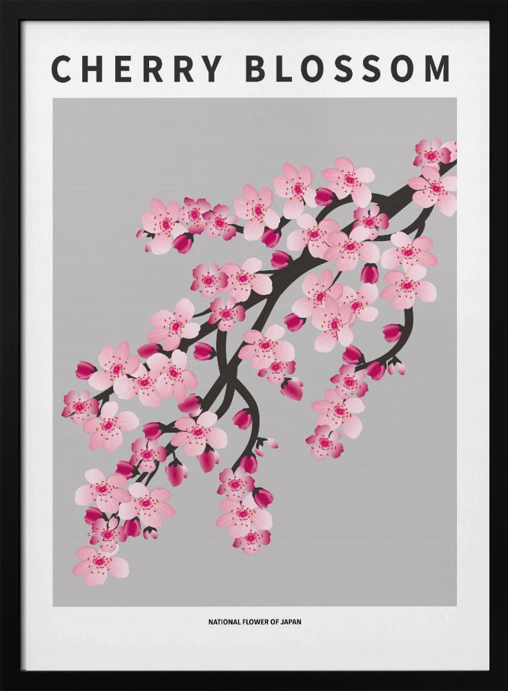 Cherry blossom - National flower of Japan Poster