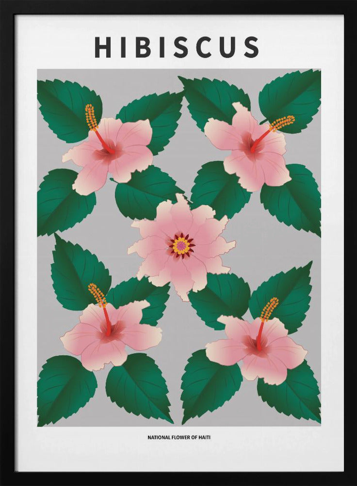 Hibiscus - National flower of Haiti Poster