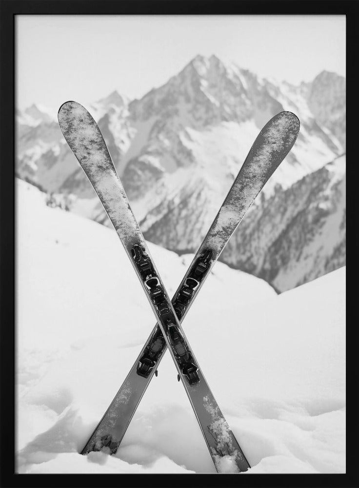 Skies Apls Black and White Poster