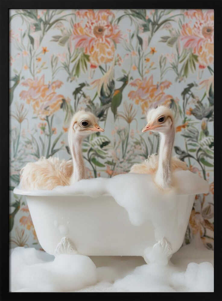 Feathered Fun Poster