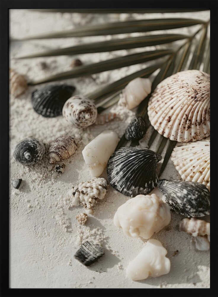 Shell stories no 03 Poster