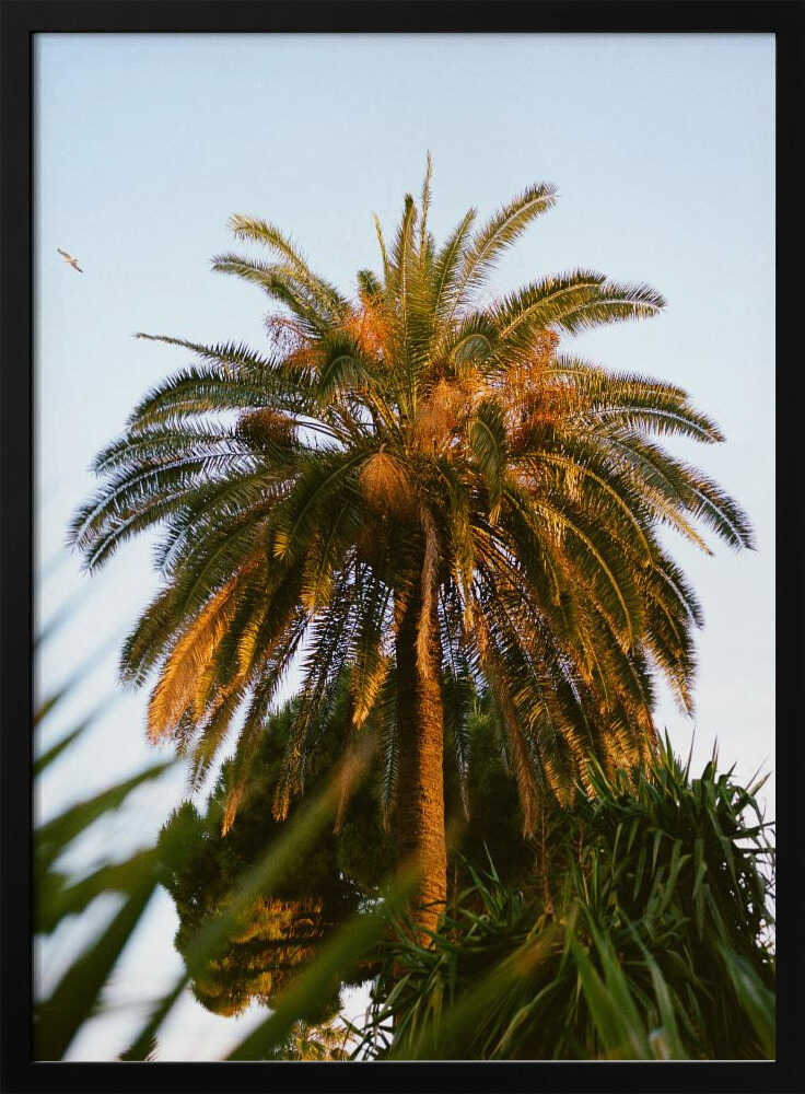 Nice France XII on Film Poster