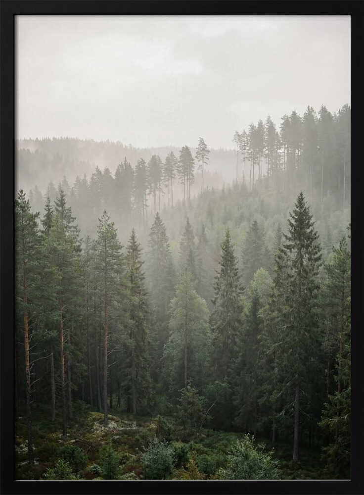 View From a Hill Poster