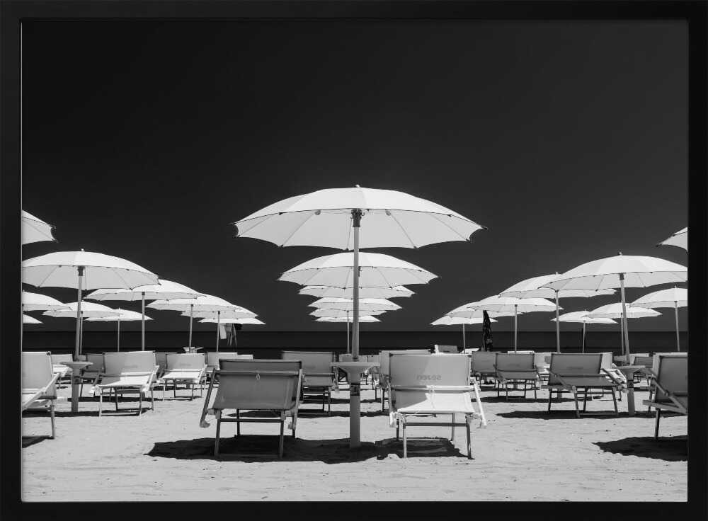 white sunshades Poster