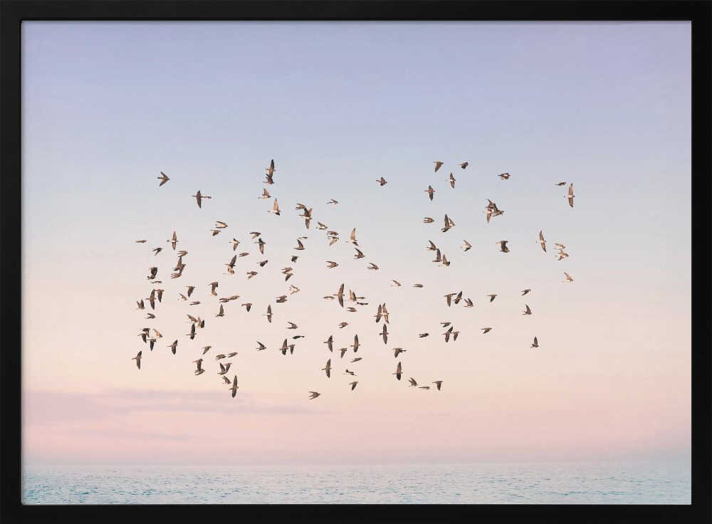 Sunset Flight Poster