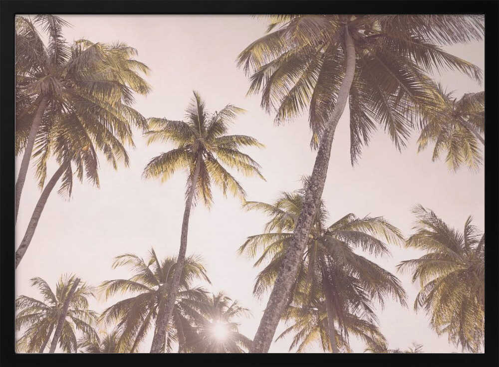 Blush Palm Trees Poster