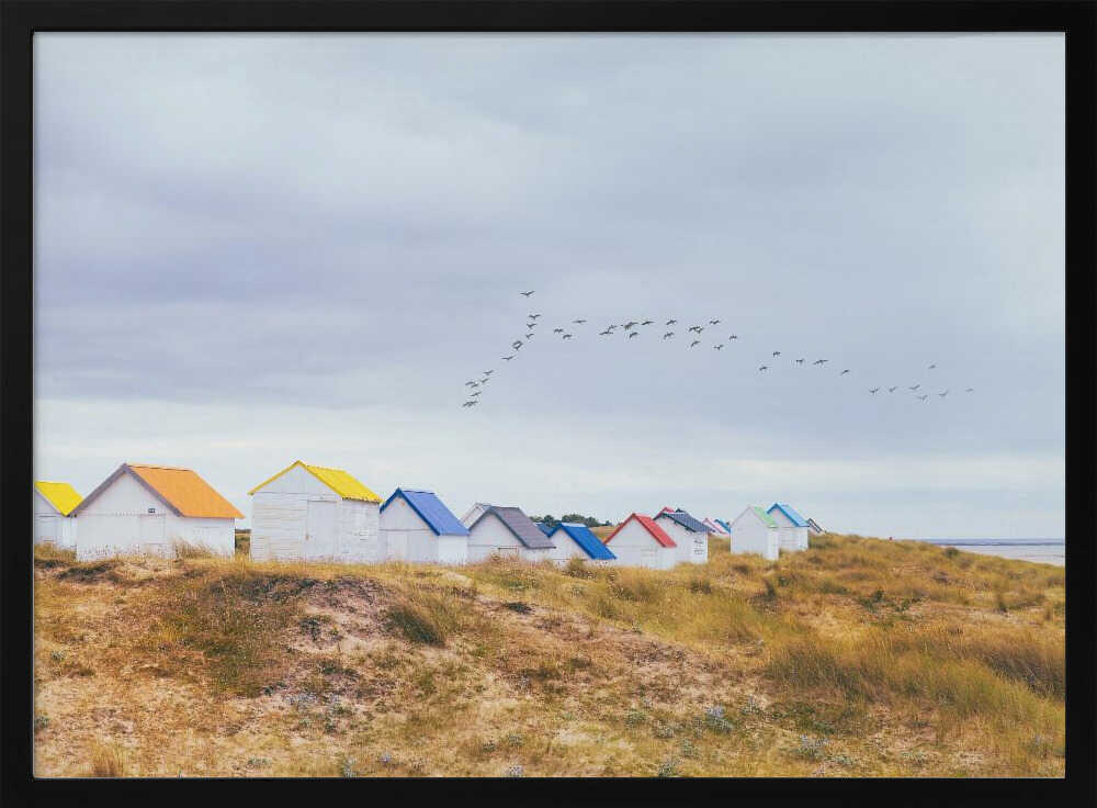 summer day Poster