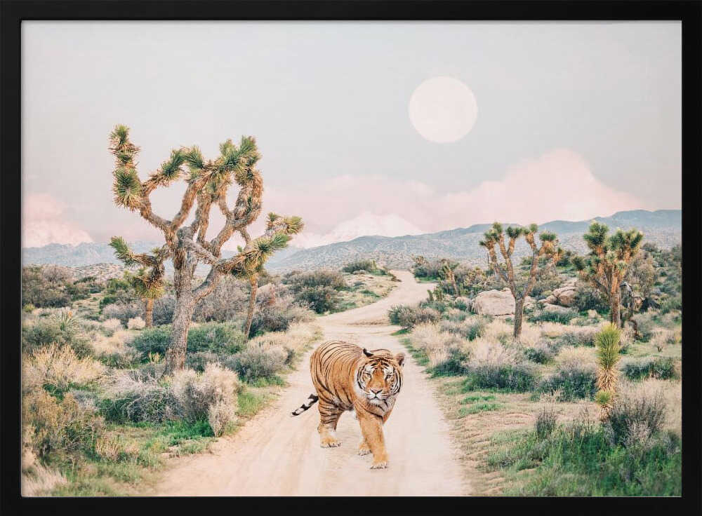 Wandering Tiger Poster
