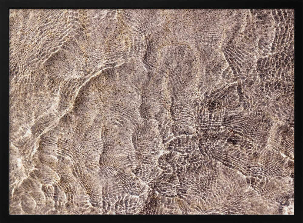 Water and Reflections Poster