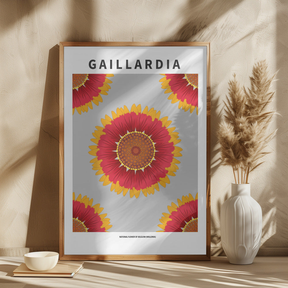 Gaillardia - National flower of Belgium Poster