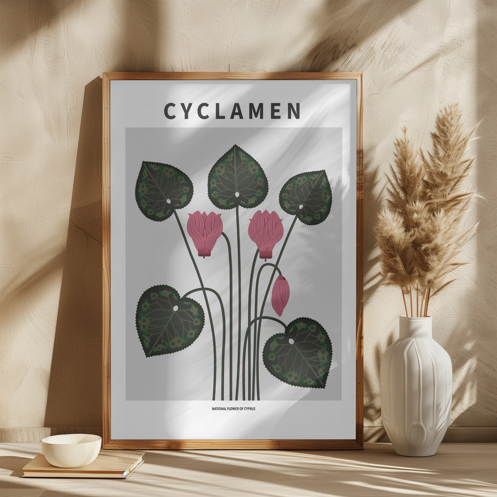 Cyklamen - National flower of Cypres Poster