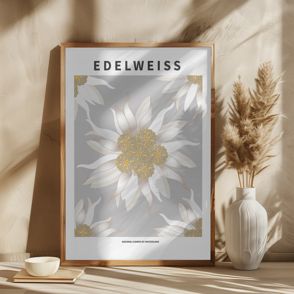 Edelweiss - National flower of Switzerland Poster