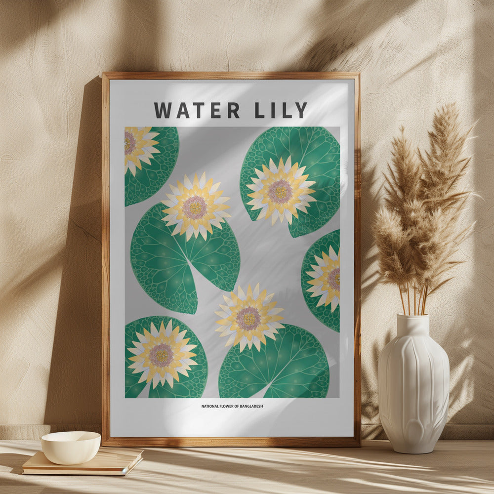 Water lily - National flower of Bangladesh Poster