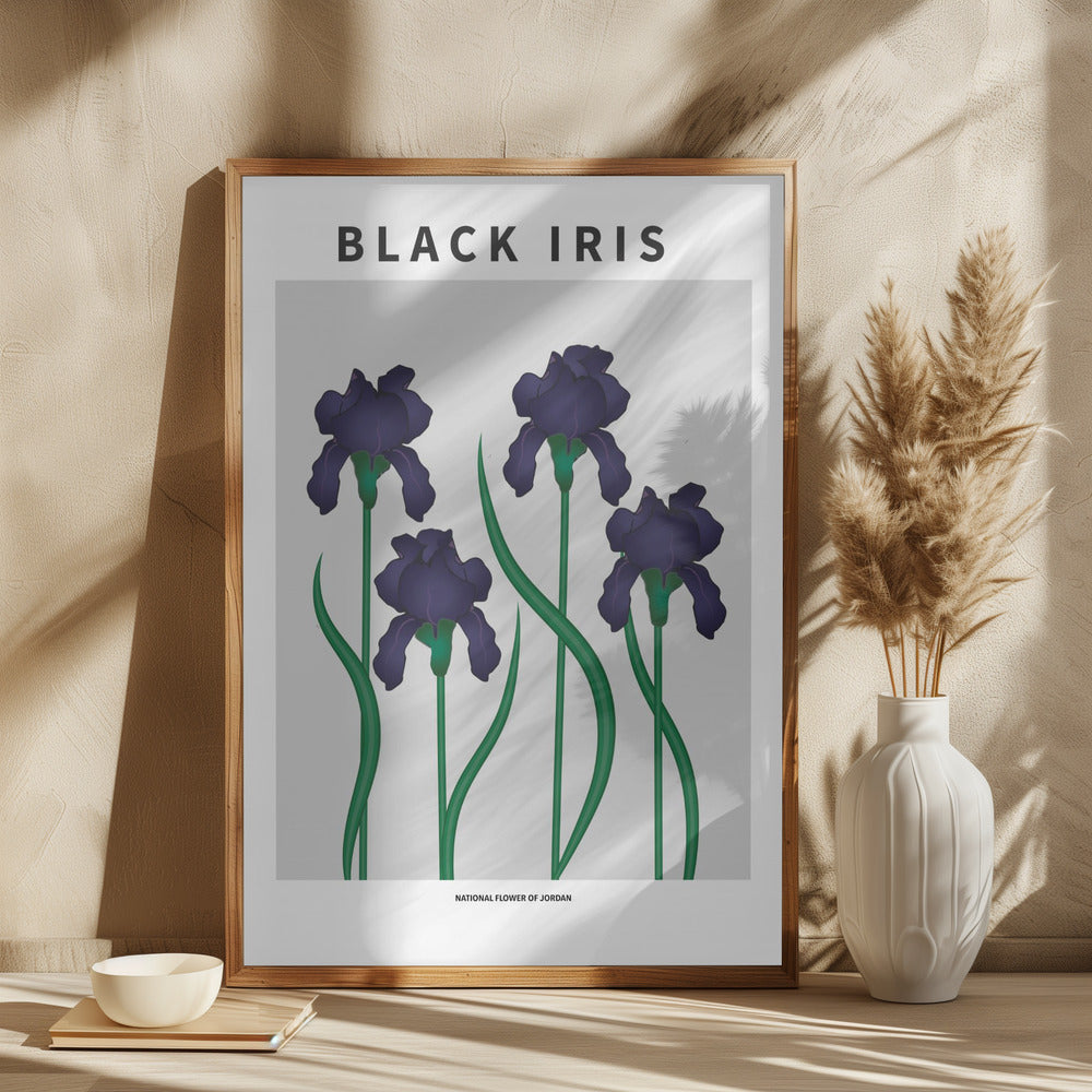 Black Iris - National flower of Jordan Poster