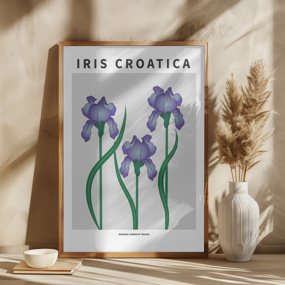 Iris Croatica - National flower of Croatia Poster